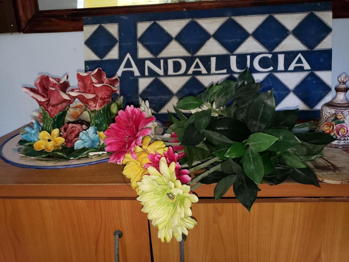 Andalucia Guest House San Juan Bagian luar foto