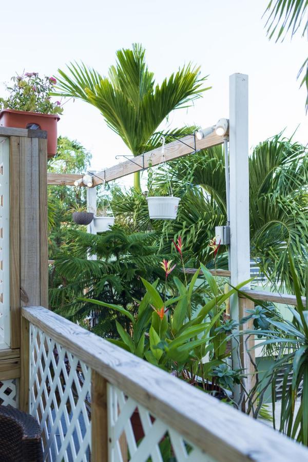 Andalucia Guest House San Juan Bagian luar foto