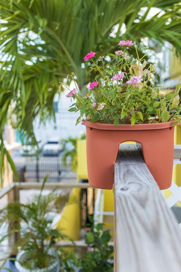 Andalucia Guest House San Juan Bagian luar foto