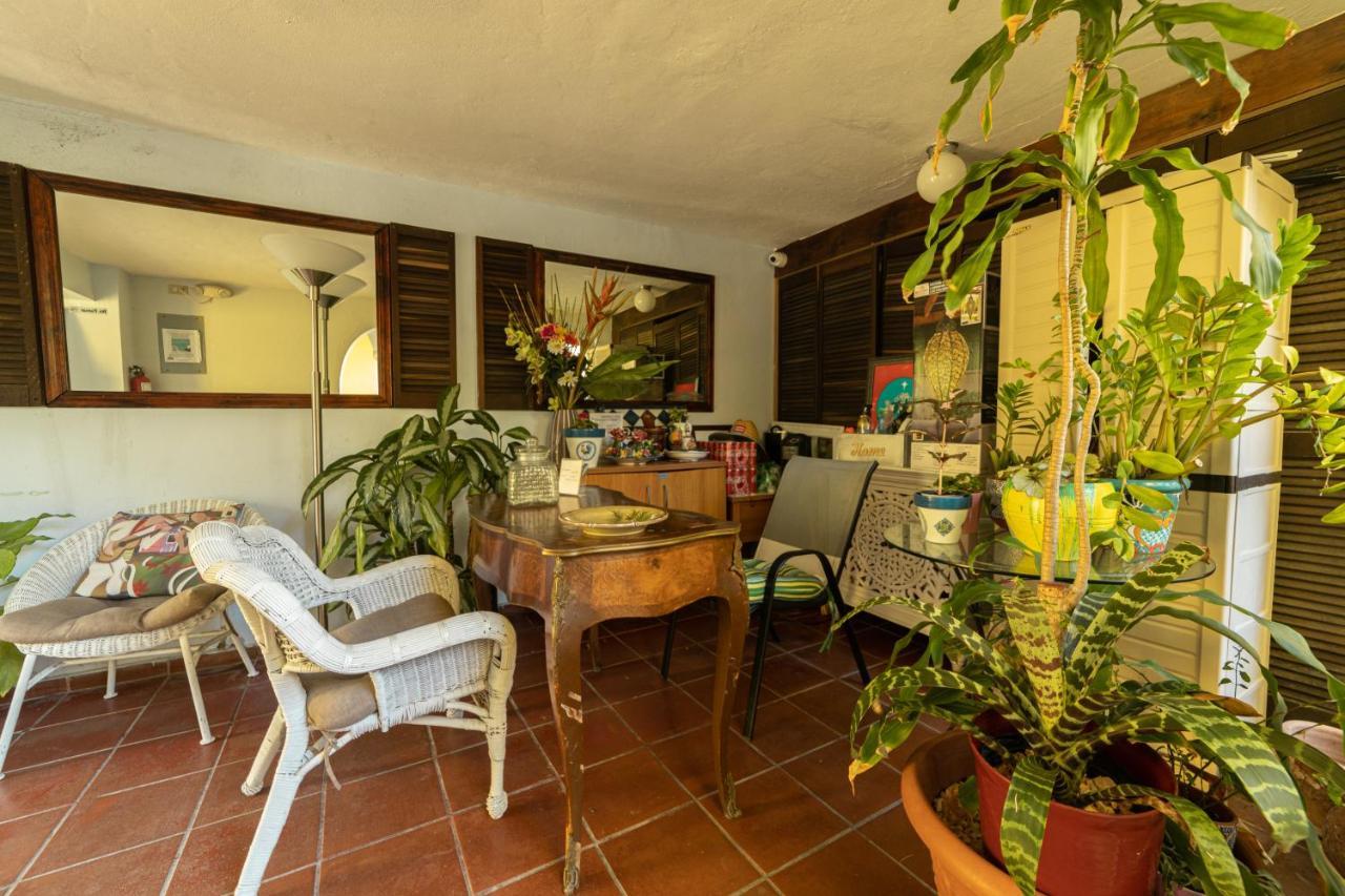 Andalucia Guest House San Juan Bagian luar foto