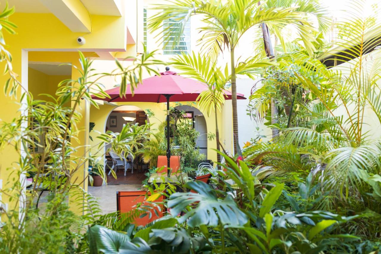 Andalucia Guest House San Juan Bagian luar foto