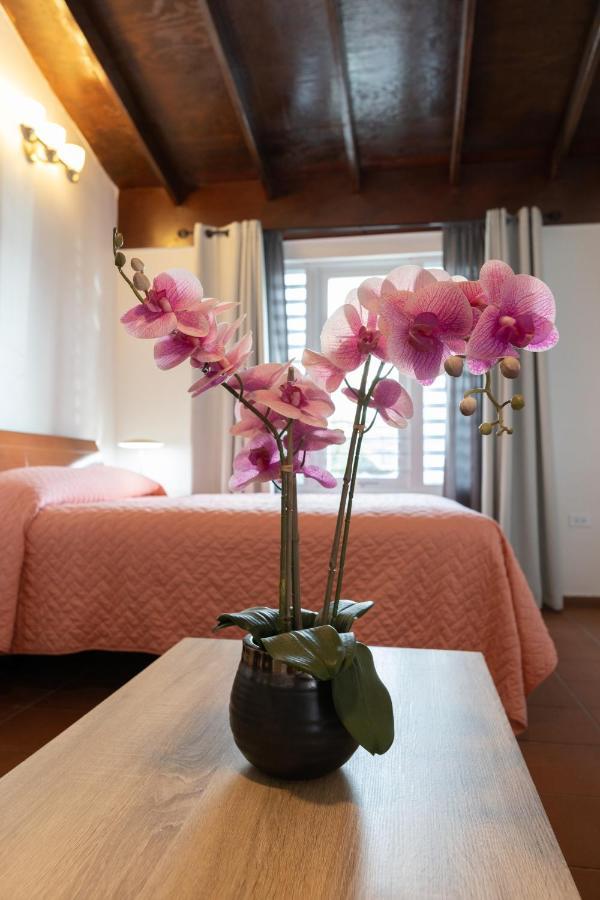 Andalucia Guest House San Juan Bagian luar foto