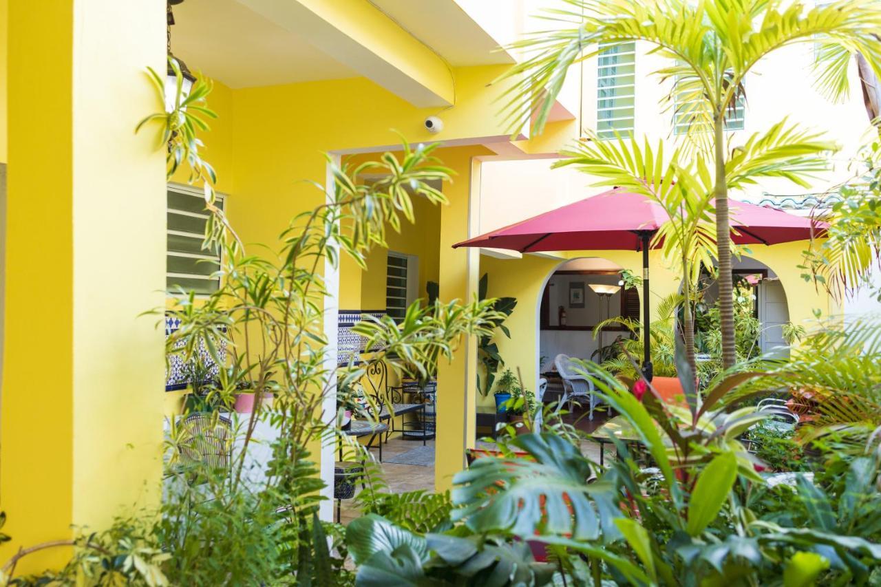 Andalucia Guest House San Juan Bagian luar foto