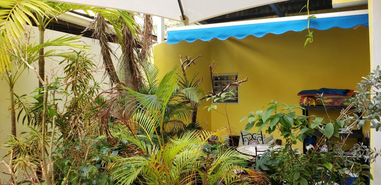 Andalucia Guest House San Juan Bagian luar foto