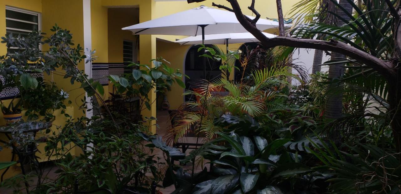 Andalucia Guest House San Juan Bagian luar foto